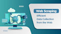 do web research and data collection