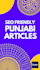 write professional punjabi articles and blog