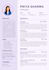design a professional editable canva resume template