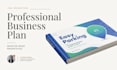 design a professional business plan or pitch deck