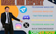 do instagram mass dm, telegram mass dm