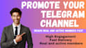 promote telegram channel, telegram group subscribers growth, telegram pro