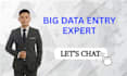 help on big data entry project