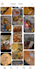 design professional pinterest pins using canva