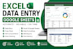 excel data entry, data cleaning and google sheets work