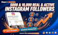 grow your instagram followers organically