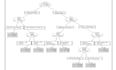 analyze varied datasets through graphs, tables, and meaningful interpretations