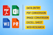 do professional data entry, copy paste, PDF to excel and web research