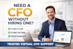 be your virtual cfo, financial controller, and growth advisor