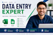be doing data entry and web searches in excel