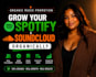 promote spotify streams, followers  soundcloud growth