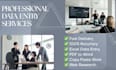 provide data entry and PDF conversion