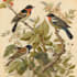 draw a scientific botanical illustration