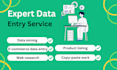 provide professional data entry and web research services