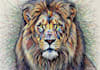 draw awesome scribble art from your photo