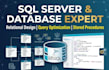design relational database schemas and write sql queries