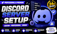 setup a professional custom discord server