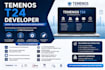 do l3 customisation temenos application