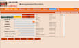 design microsoft access database and professional data entry