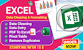 clean, format, merge, split, excel data