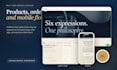 build a professional website, pos system, or business web app