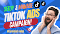 setup and manage profitable tiktok ads campaign