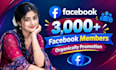 add 3,000 facebook members to your group