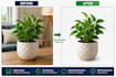 remove image bgprofessionally and deliver transparent png