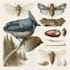 draw a scientific illustration