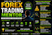 teach profitable forex trading