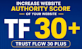 boost trust flow tf30 plus