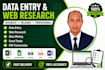 data entry and web research
