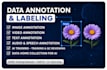 do image and video annotation, data labelling and bounding box