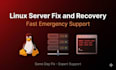 fix your linux server or website down issue urgently