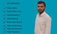 data entry, data scraping, copy and paste