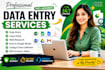 do accurate data entry, web research, and excel tasks