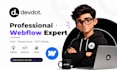 do webflow website design and development, webflow expert, webflow developer