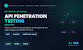 perform API penetration testing and security assessment