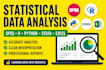 do statistical data analysis using spss, r, python, stata and excel
