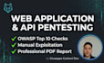 do professional web application and API penetration testing