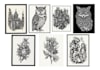 make pen and ink illustrations