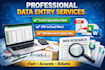 deliver professional data entry and data management
