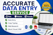 accurate data entry and virtual assistant services