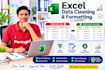 do excel data cleaning and excel data analysis and dashboard