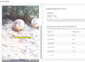 create a high converting german ugc couple video ad