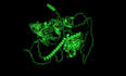 molecular docking, virtual screening and protein ligand interaction analysis