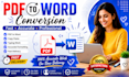 convert PDF to editable word document