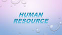 create professional powerpoint  presentation and ppt slides