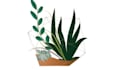 create an elegant botanical logo with a modern bohemian style