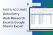 provide fast and accurate excel data entry services
